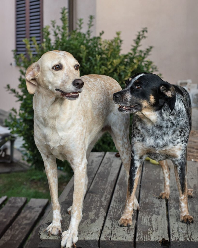 Bea e Ida Bea e Ida