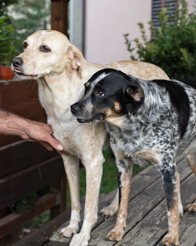 Bea e Ida Bea e Ida