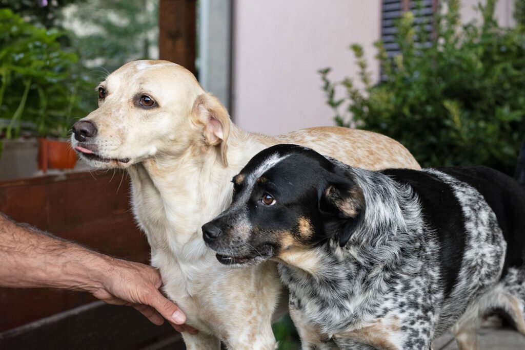 Bea e Ida